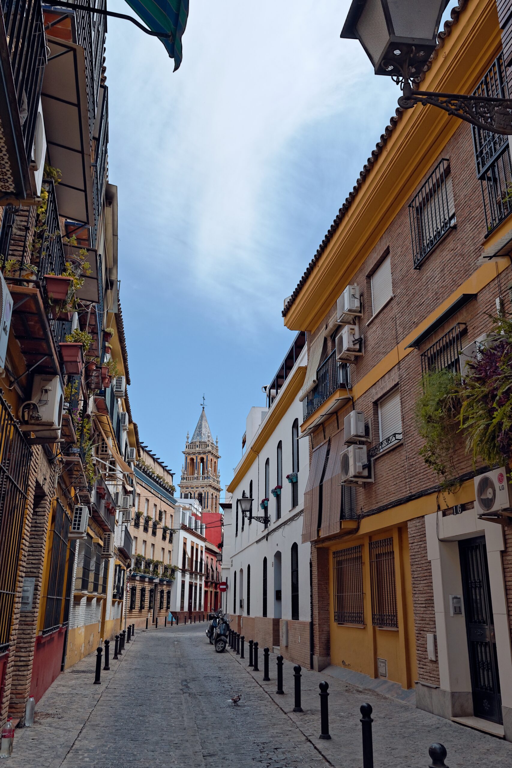 vertical shot of the real parroquia de senora santa ana church in spain